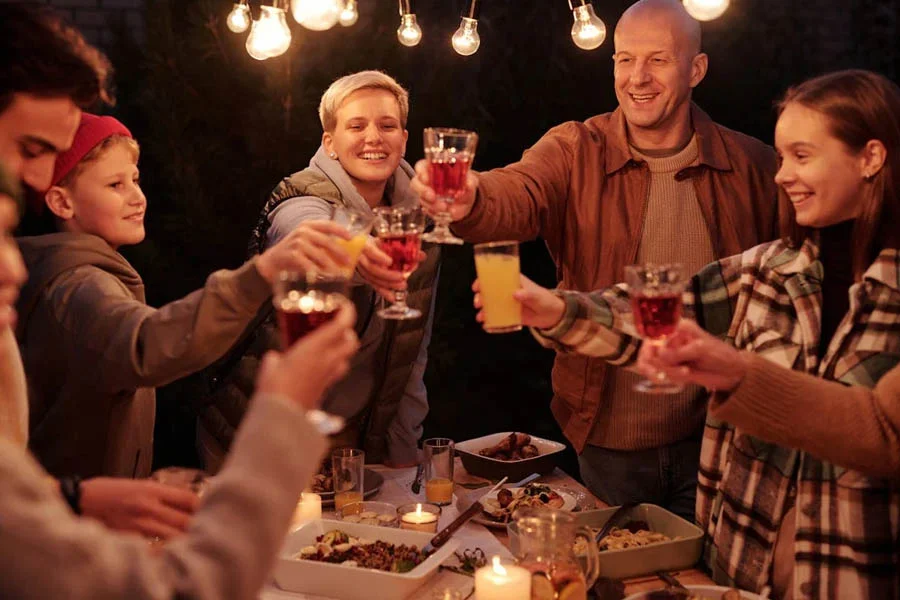 heavy duty pop up gazebo with mosquito netting